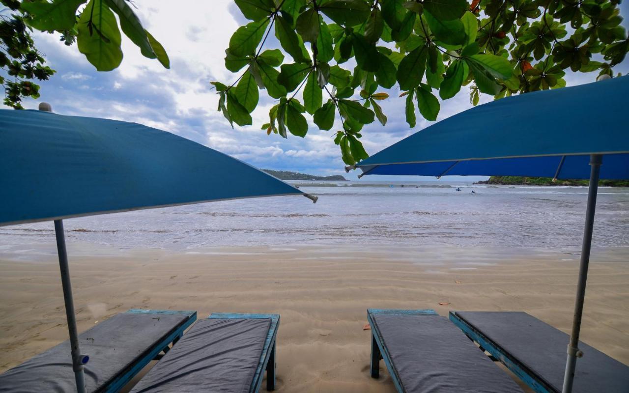 Palm Leaf Surf Cafe Hotel Galle Buitenkant foto